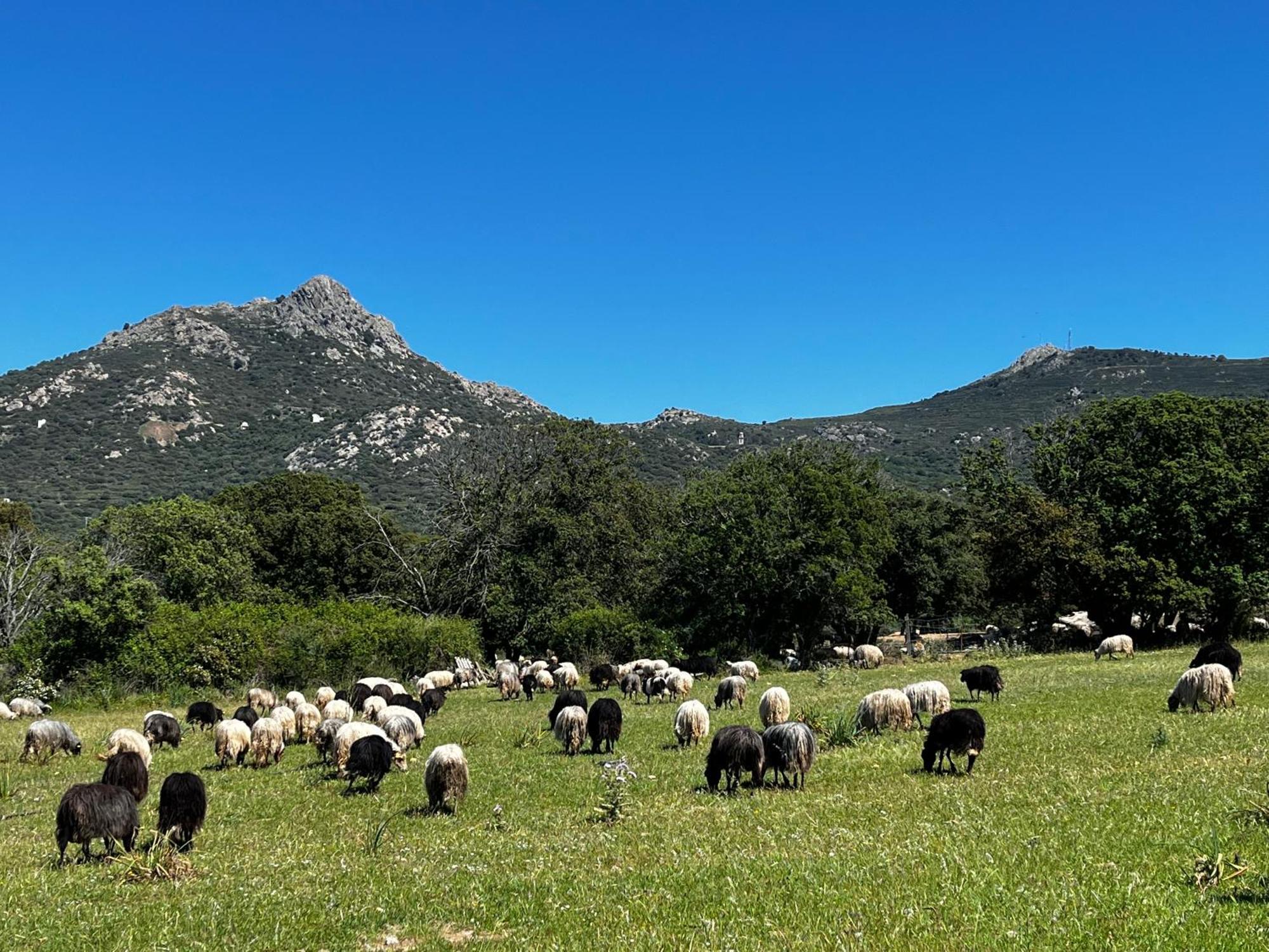 فندق Location Du Ranch الجاجولا المظهر الخارجي الصورة