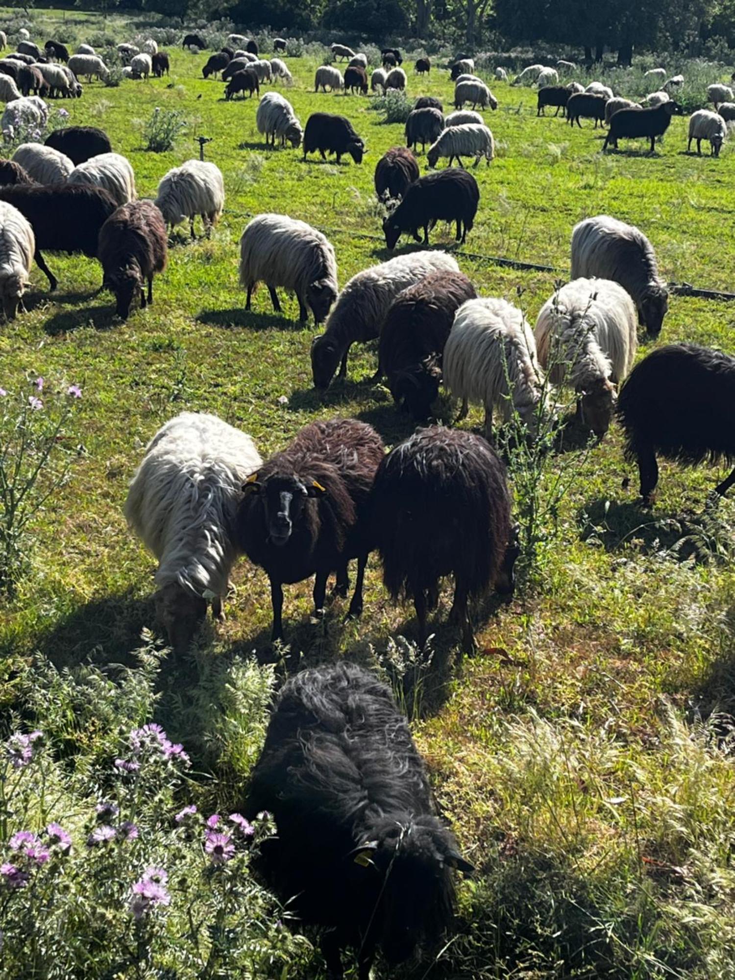 فندق Location Du Ranch الجاجولا المظهر الخارجي الصورة