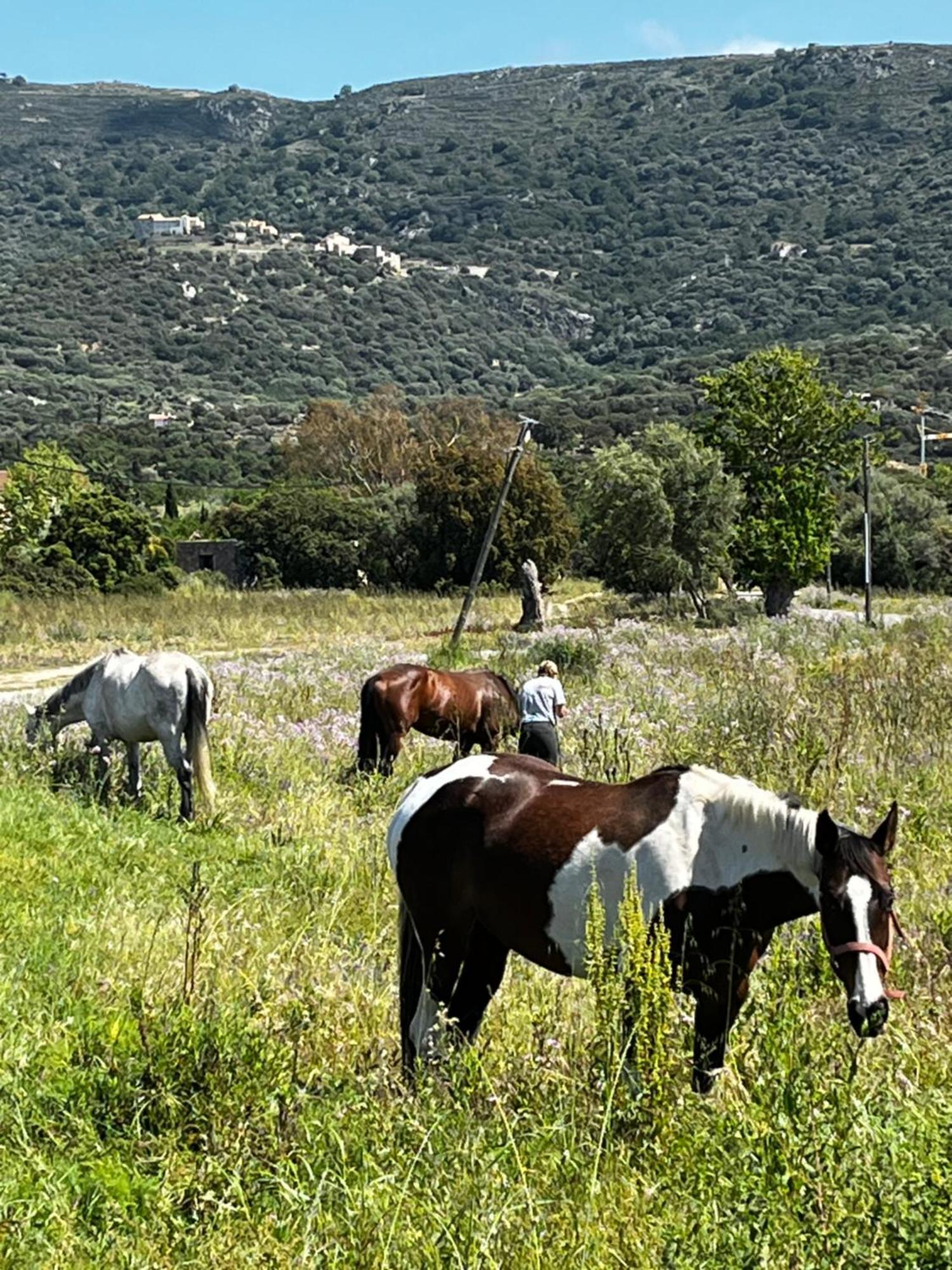 فندق Location Du Ranch الجاجولا المظهر الخارجي الصورة