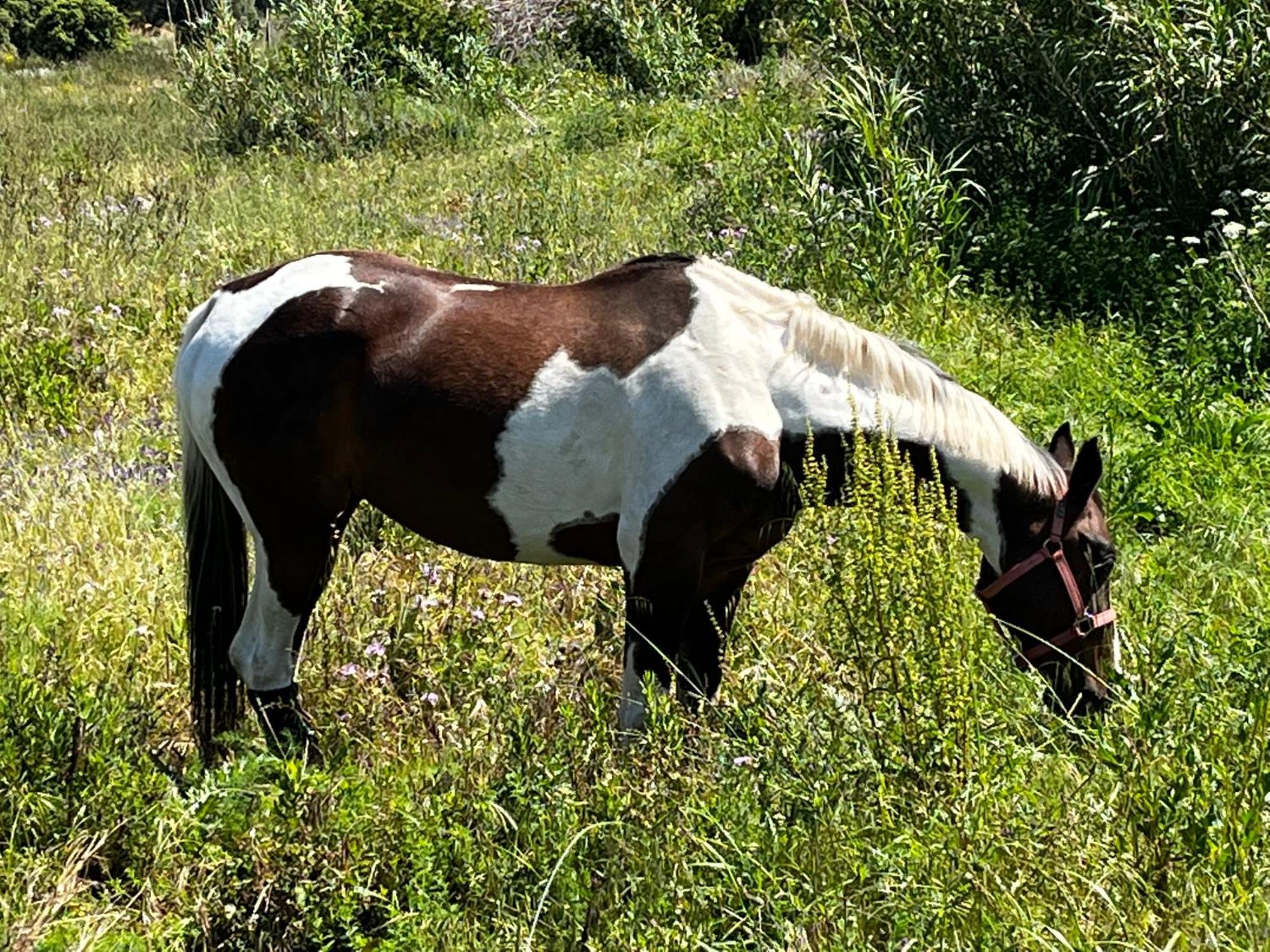فندق Location Du Ranch الجاجولا المظهر الخارجي الصورة